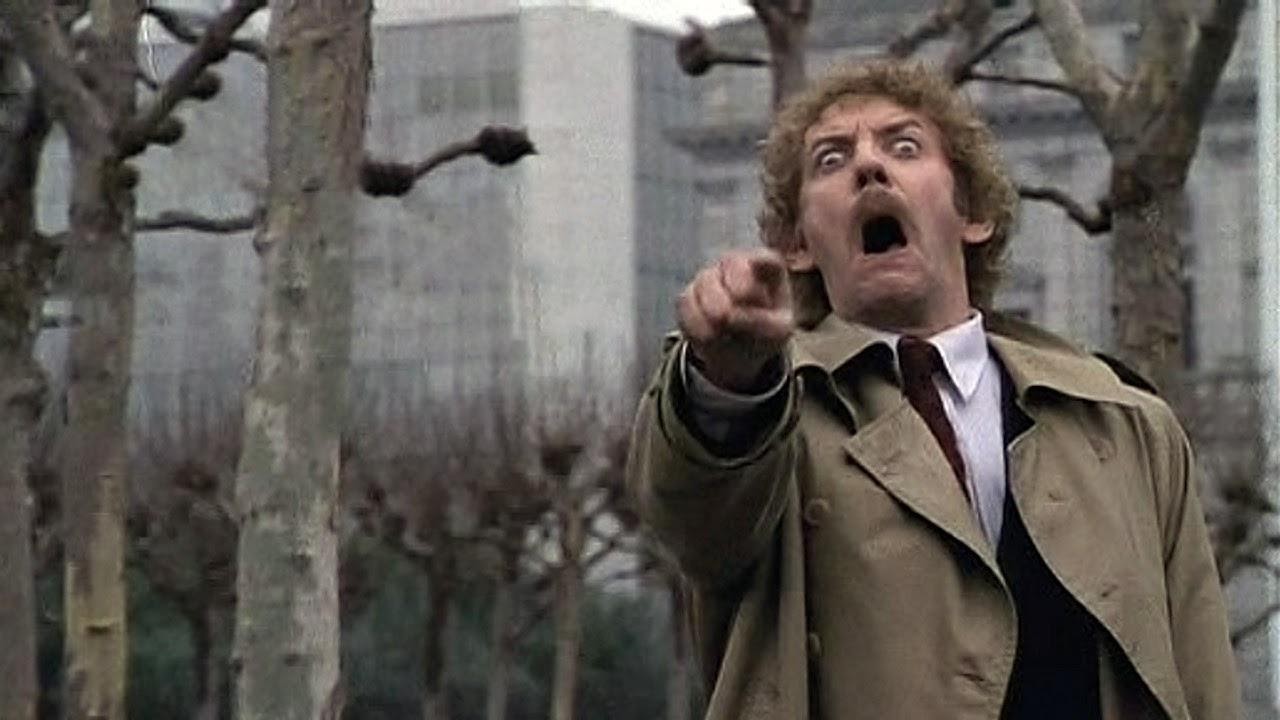 A scene from the movie Invasion of the Body Snatchers, which this article's name is based on, as a play on words.